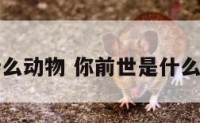 你前世是什么动物 你前世是什么动物的生肖