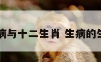 生病与十二生肖 生病的生肖