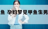 孕妇能到甲鱼 孕妇梦见甲鱼生男生女是什么意思