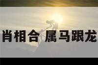 属马与龙生肖相合 属马跟龙属相合不合