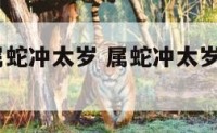 1953年属蛇冲太岁 属蛇冲太岁是什么意思