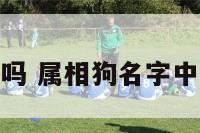 属狗带铭字吗 属相狗名字中带什么字好