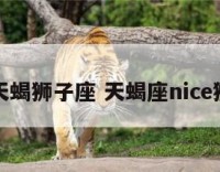 星座天蝎狮子座 天蝎座nice狮子座