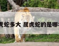 2018属虎蛇多大 属虎蛇的是哪年出生的