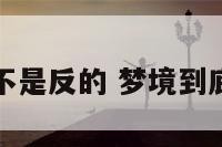 梦境到底是不是反的 梦境到底是不是真的