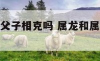 属虎和属龙父子相克吗 属龙和属虎的父子关系好吗