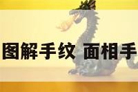面相图解手纹 面相手相学