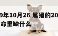 属猪19年10月26 属猪的2019年10月31命里缺什么