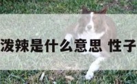 性格泼辣是什么意思 性子泼辣