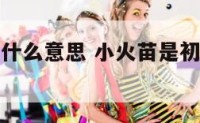 日常小火苗什么意思 小火苗是初期火灾吗还是浓烟滚滚