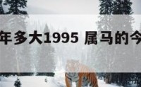 属马的今年多大1995 属马的今年多大了1954