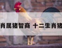 十二生肖属猪智商 十二生肖猪的智商