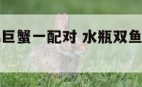 水瓶双鱼跟巨蟹一配对 水瓶双鱼座和双子巨蟹座配对