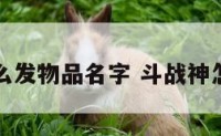 斗战神怎么发物品名字 斗战神怎么弄装备