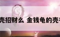 金钱龟壳招财么 金钱龟的壳有用吗?
