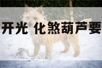 化煞葫芦怎样开光 化煞葫芦要开口还是带龙头