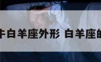 属牛白羊座外形 白羊座的牛