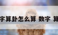 数字算卦怎么算 数字 算卦