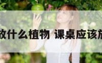 课桌上放什么植物 课桌应该放在哪里