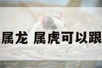 属虎可以跟属龙 属虎可以跟属龙合作吗