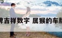 属猴的车牌吉祥数字 属猴的车牌吉祥字母