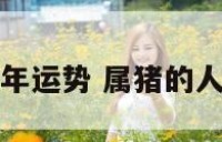 生肖属猪人明年运势 属猪的人明年运气好吗