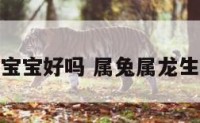 属兔龙生狗宝宝好吗 属兔属龙生什么宝宝好