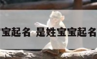 是姓宝宝起名 是姓宝宝起名怎么起