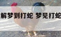 周公解梦破解梦到打蛇 梦见打蛇是什么预兆周公解梦