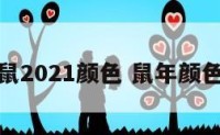 鼠2021颜色 鼠年颜色