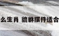 貔貅摆件什么生肖 貔貅摆件适合什么生肖人