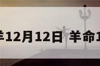 属羊12月12日 羊命12月