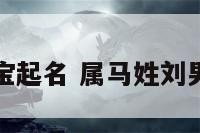 刘姓马年宝宝起名 属马姓刘男宝宝的名字