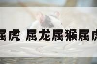 属龙属猴和属虎 属龙属猴属虎一家会怎样