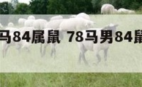 男78属马84属鼠 78马男84鼠结婚好不好