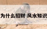 风水里认为什么招财 风水知识如何招财