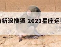星座运势新浪搜狐 2021星座运势大解析新浪