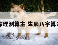 生辰八字命理测算主 生辰八字算命讲解介绍