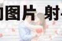 射手座和双鱼座的图片 射手座和双鱼座的图片和名字