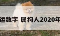 属狗的新运数字 属狗人2020年幸运数字
