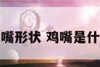鸡嘴形状 鸡嘴是什么