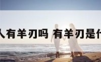 属羊的人有羊刃吗 有羊刃是什么意思