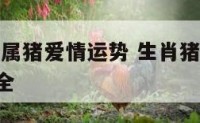 2017年属猪爱情运势 生肖猪2017年运势大全