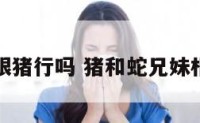 兄妹属蛇跟猪行吗 猪和蛇兄妹相冲怎么办