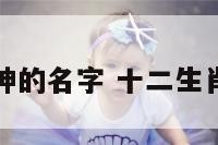 十二生肖神的名字 十二生肖神格象征