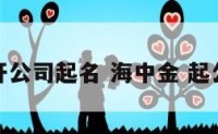 海中金开公司起名 海中金 起公司名字