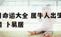 属牛出生月命运大全 属牛人出生月的命运 十二生肖网 卜易居