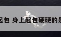 身体起包 身上起包硬硬的是什么