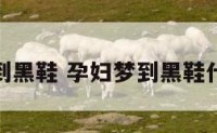 孕妇梦到黑鞋 孕妇梦到黑鞋什么意思