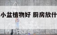 厨房放什么小盆植物好 厨房放什么小盆植物好风水